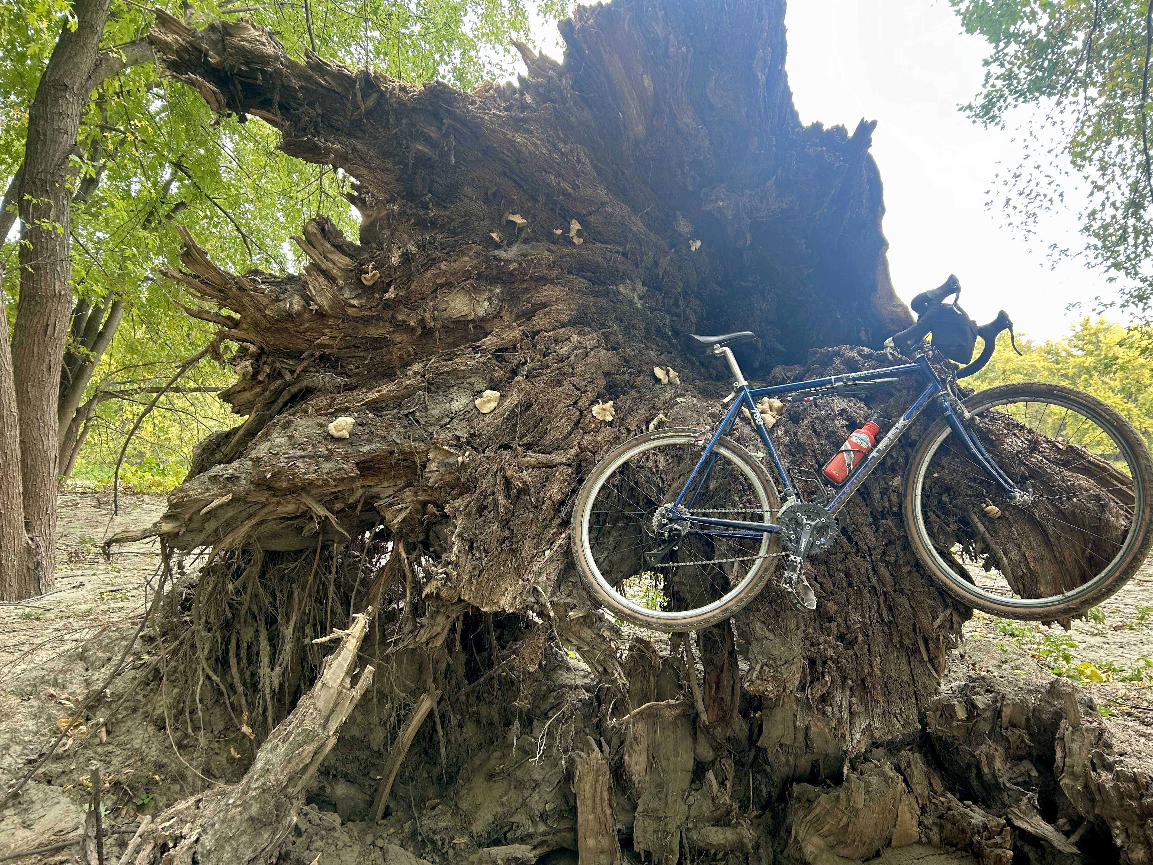 On an adventure in the Minnesota River Bottoms