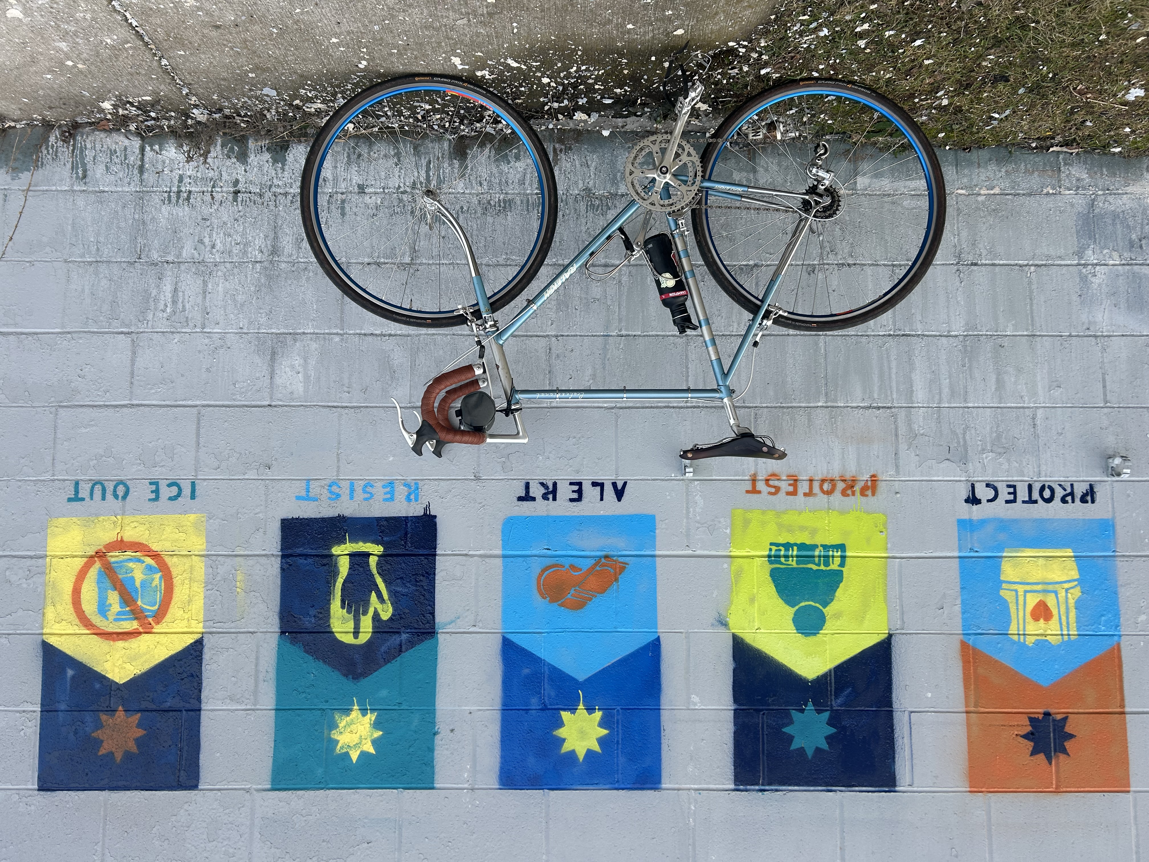 1974 Raleight Professsional Mark IV