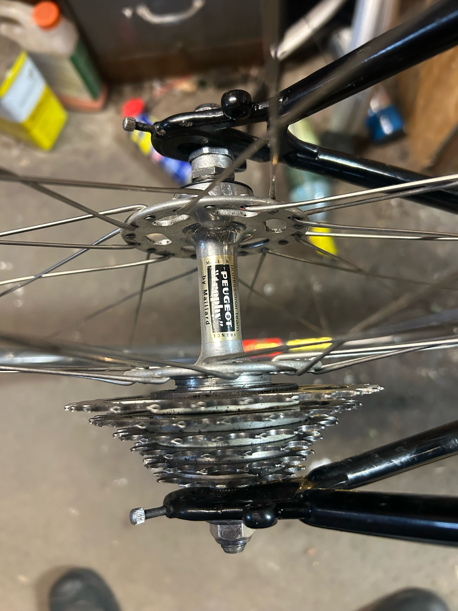 Rear hub and freewhweel